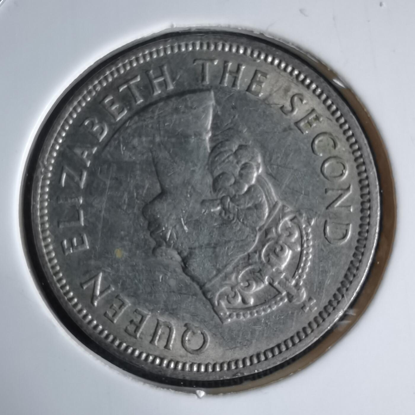 沼泽如烟--第992场