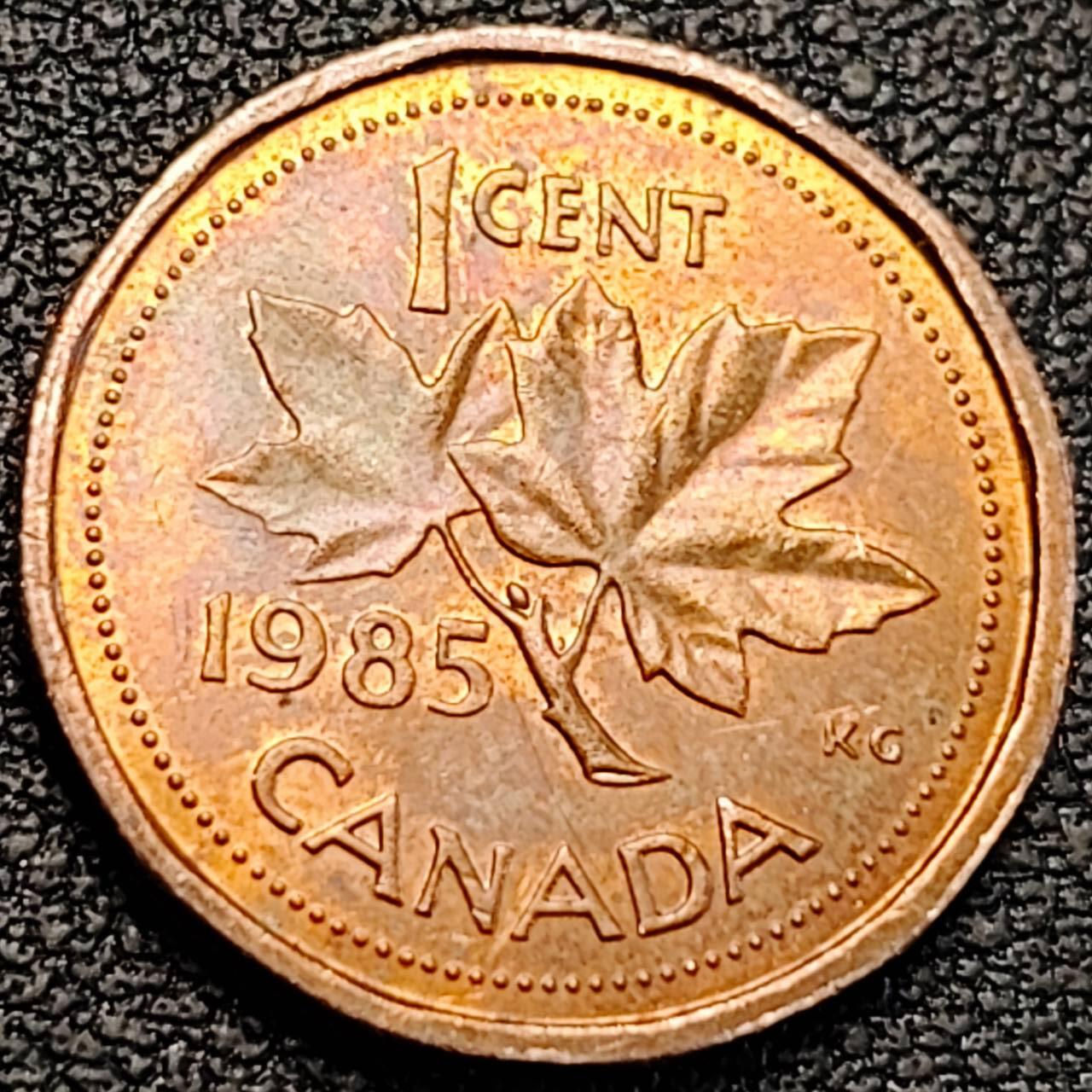 泉币菌-第187场- 精品福利场 （本周五和之前拍的 2月14日发货） 。