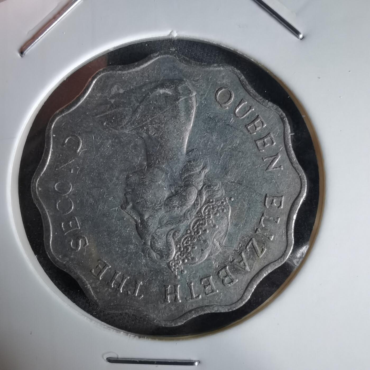 沼泽如烟--第992场