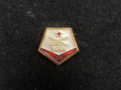 （450件拍品！制服徽章盛宴）罗岚⭐爱藏⭐年前甄选大拍场-店主清仓处理-分享拍场额外现金红包（实体经营） - 淮海战役30周年纪念章