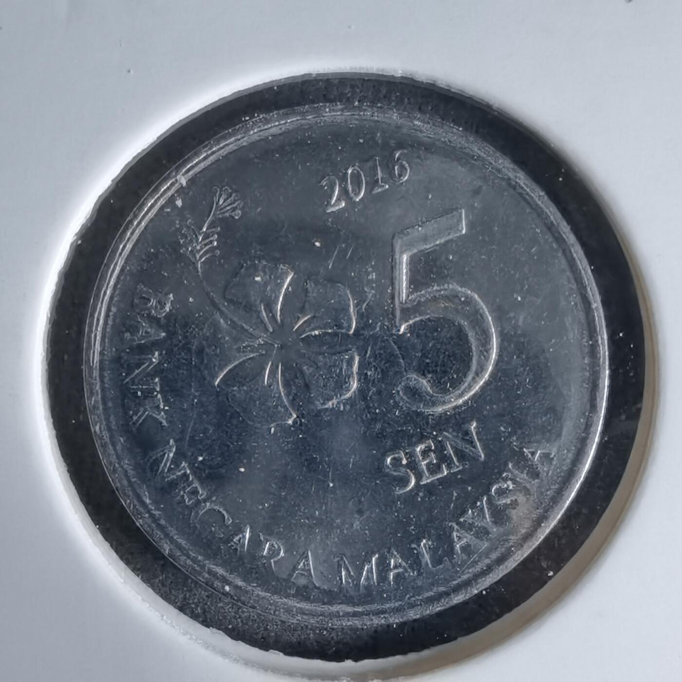 沼泽如烟--第992场