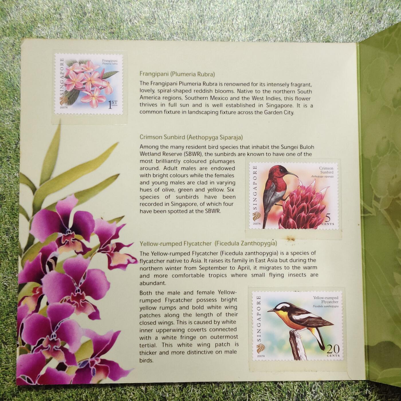 【全场包邮】纯粹捡漏拍503场