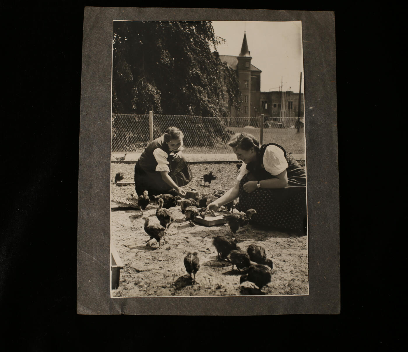 欢庆春节！戎马世界章牌大赏第112期春节大拍  德专场