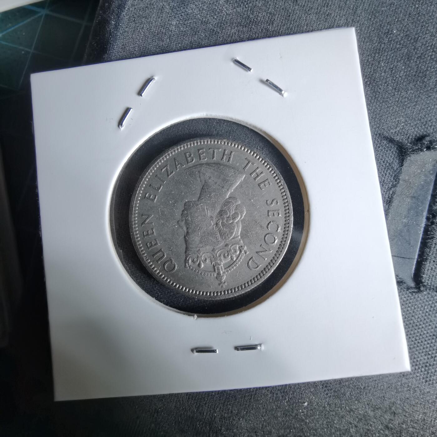 沼泽如烟--第992场