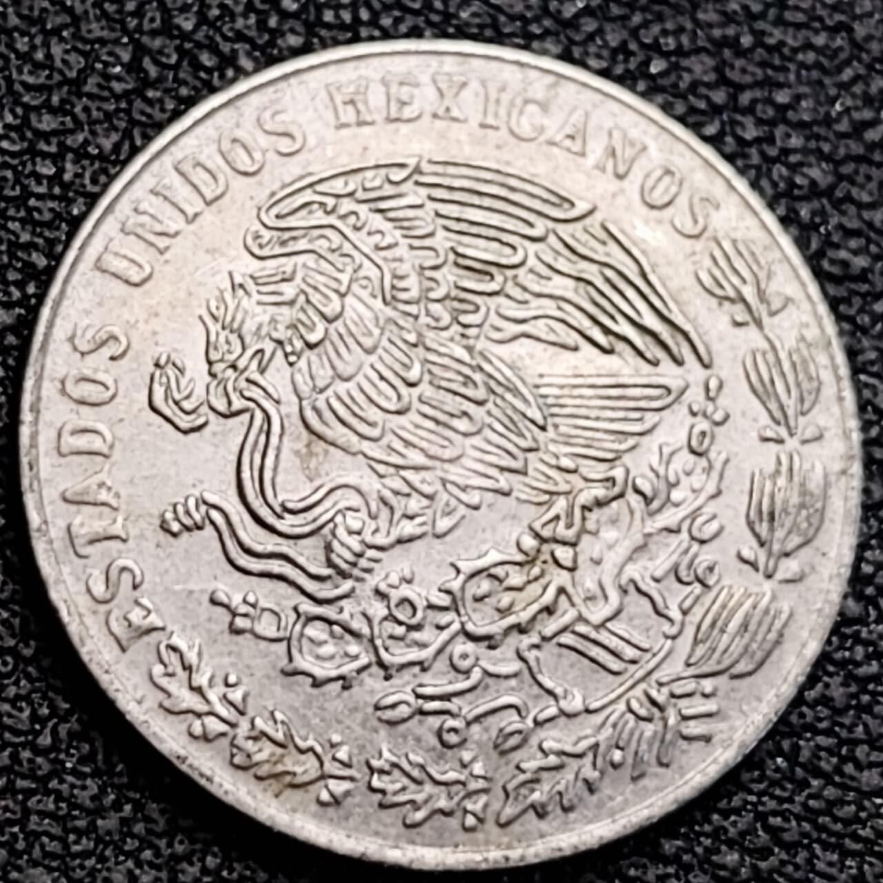 泉币菌-第187场- 精品福利场 （本周五和之前拍的 2月14日发货） 。