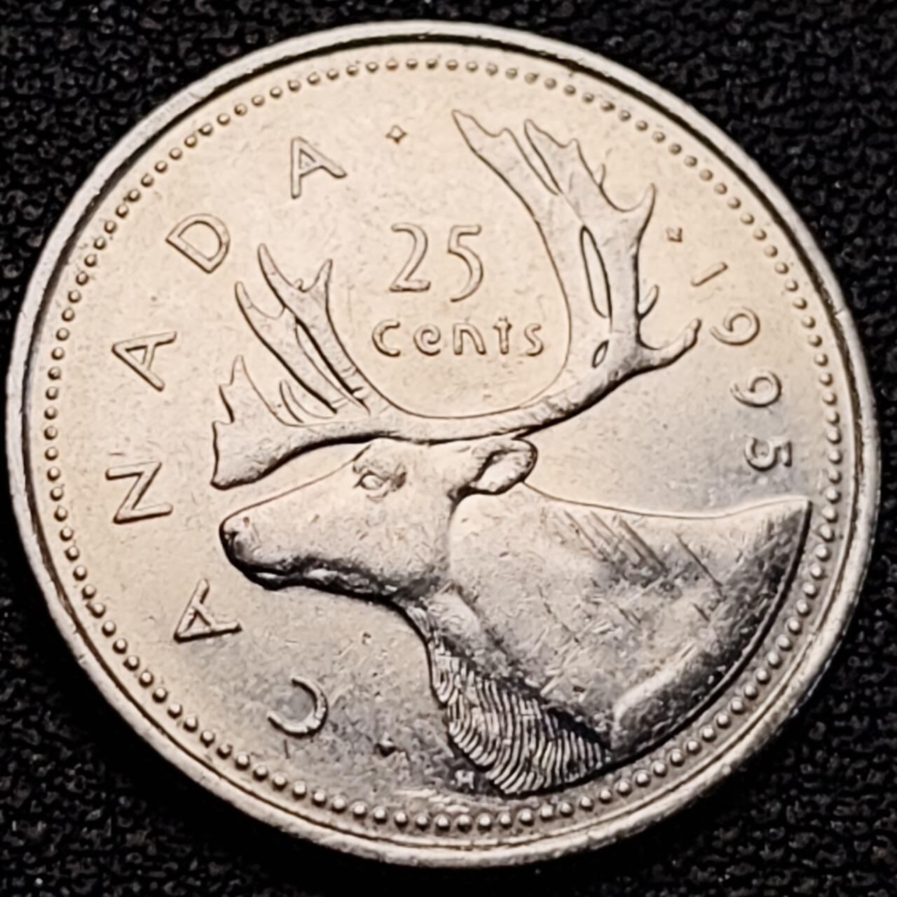 泉币菌-第187场- 精品福利场 （本周五和之前拍的 2月14日发货） 。