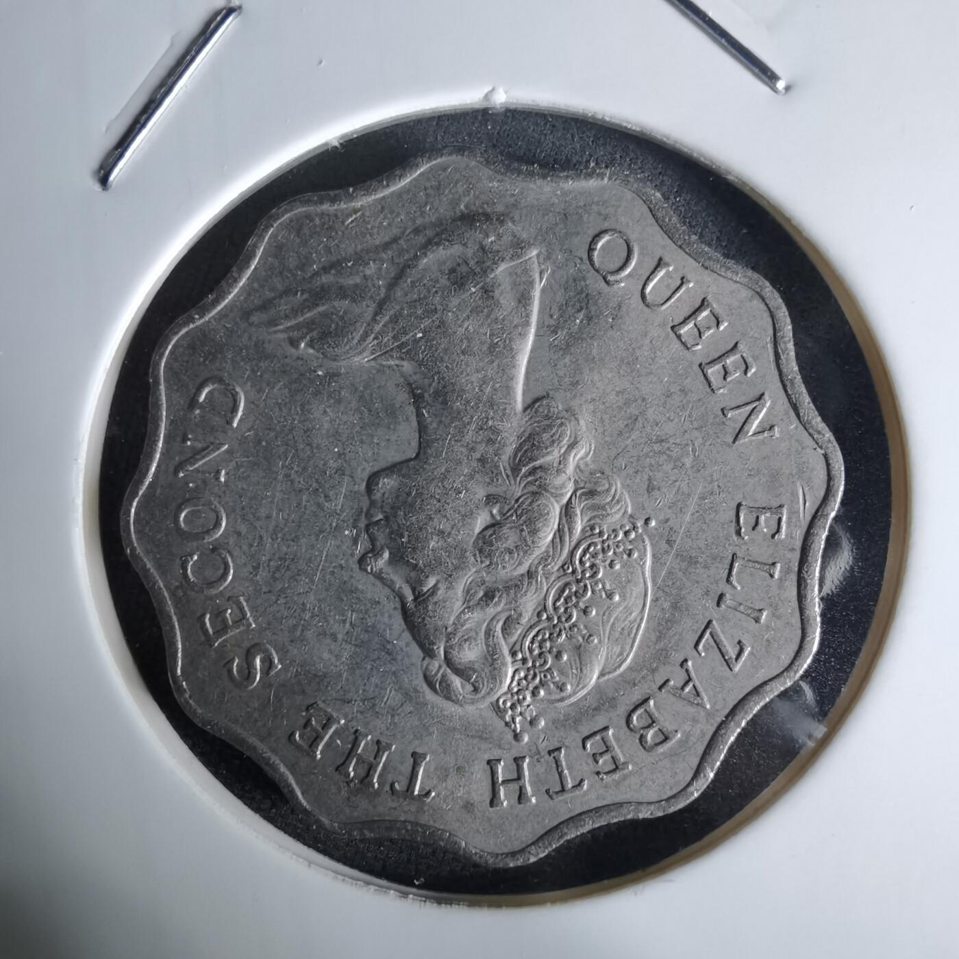 沼泽如烟--第992场