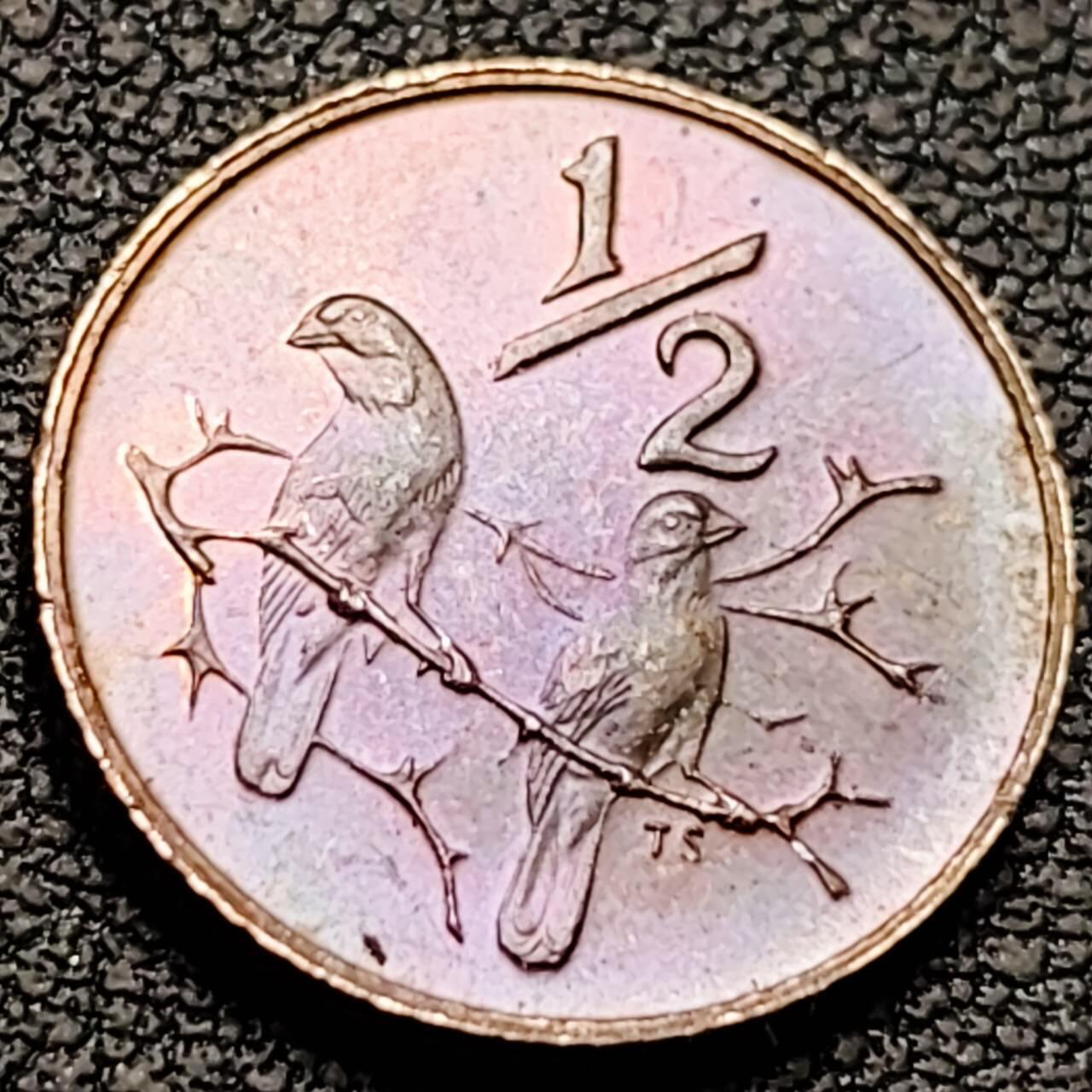 泉币菌-第190场- 精品福利场 。