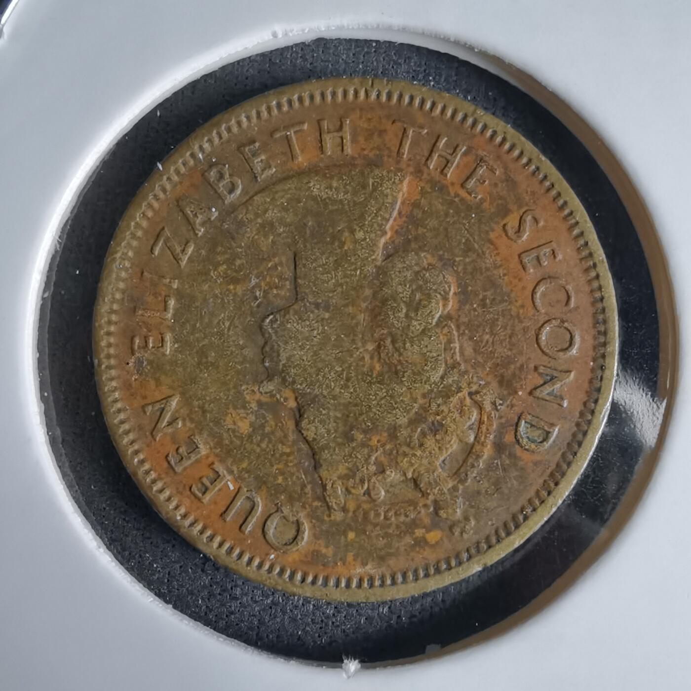 沼泽如烟--第992场