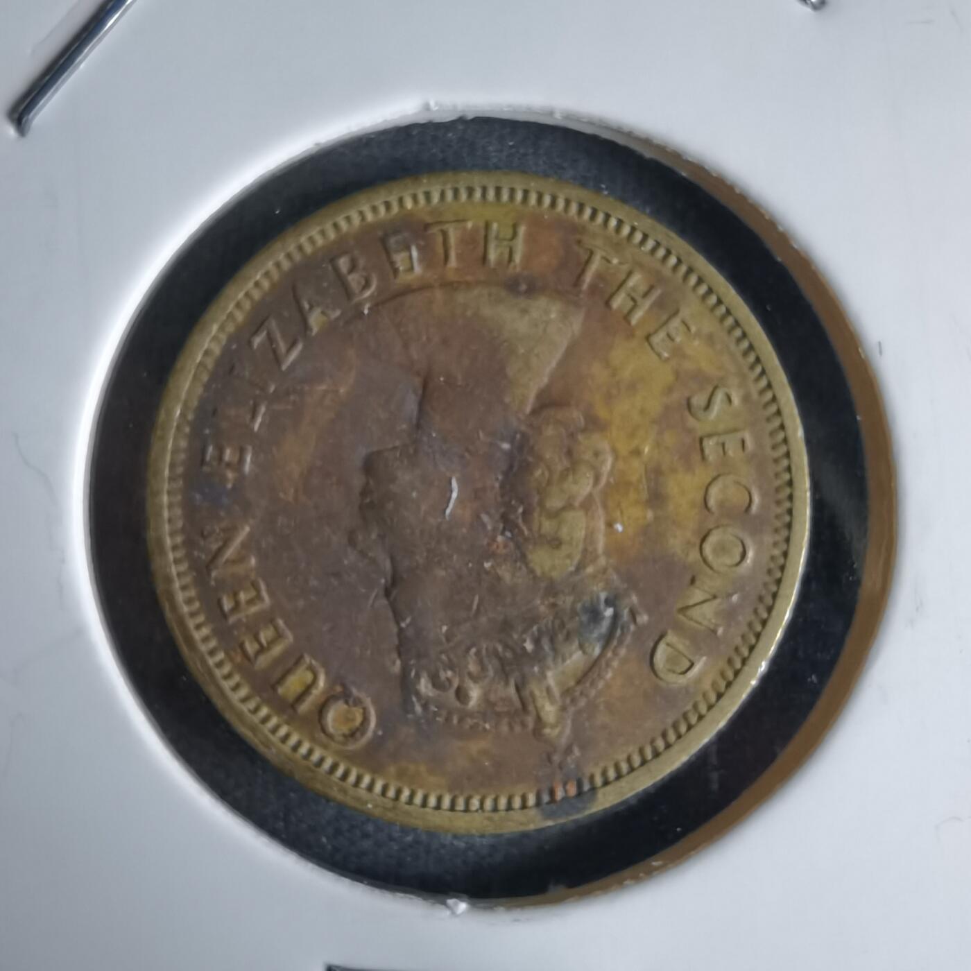 沼泽如烟--第992场