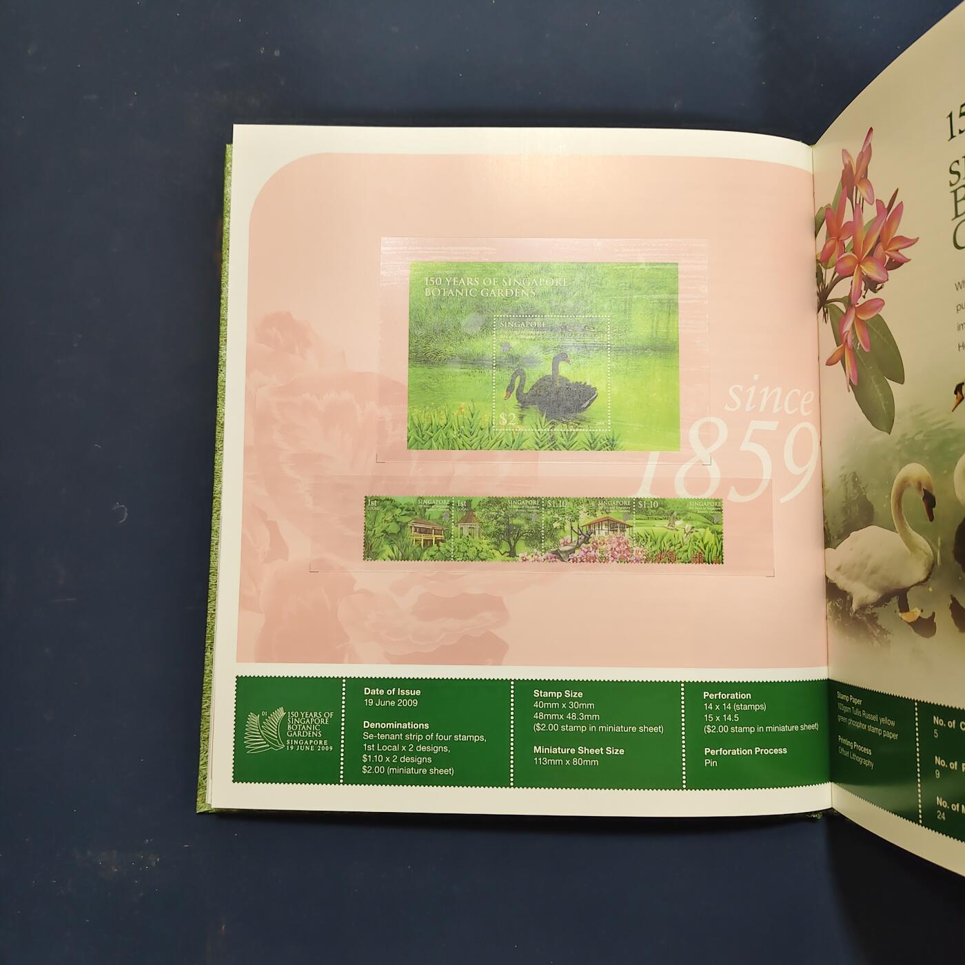 【全场包邮】纯粹捡漏拍503场