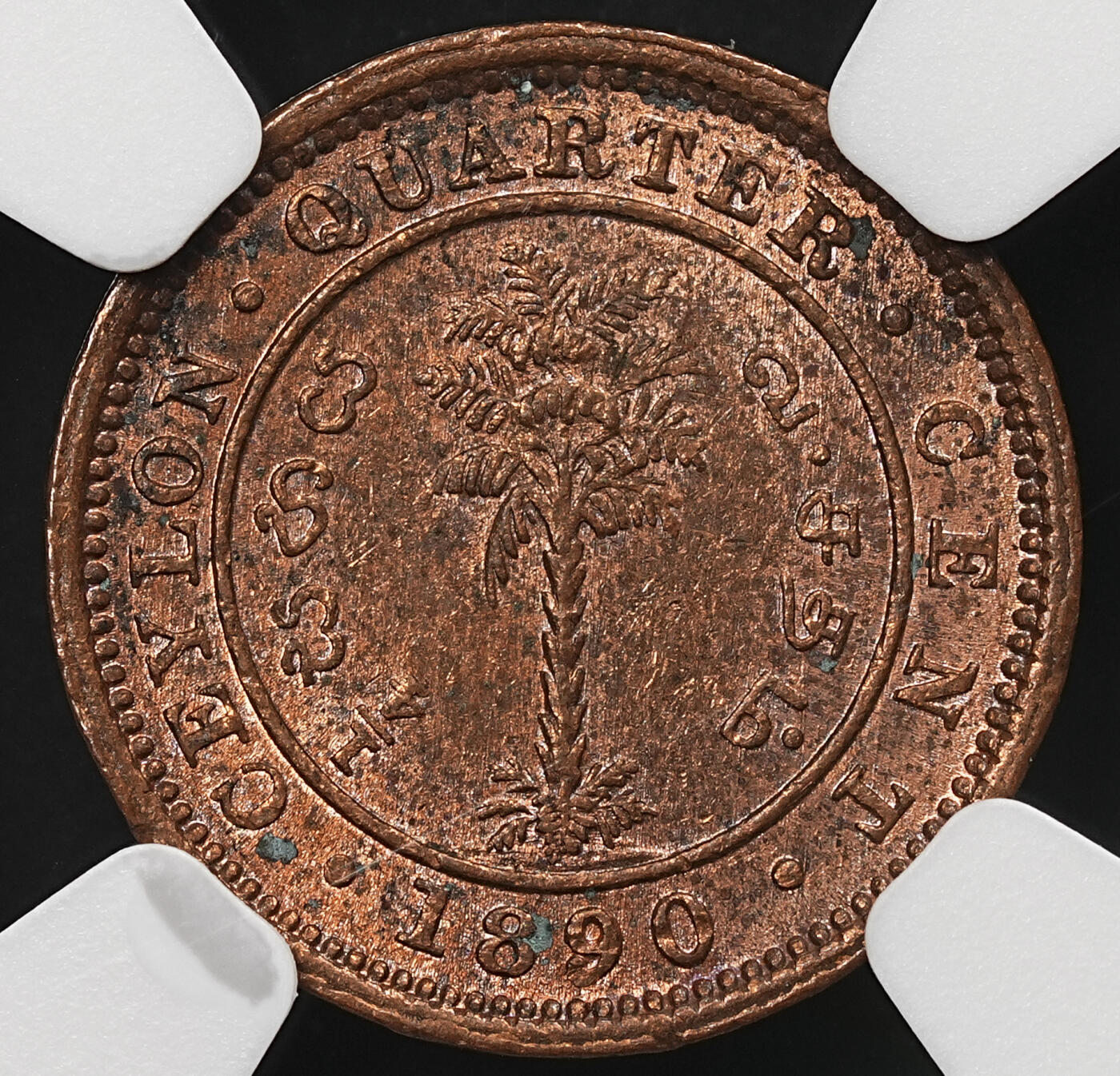 修遠堂世界钱币第105期，马年首拍