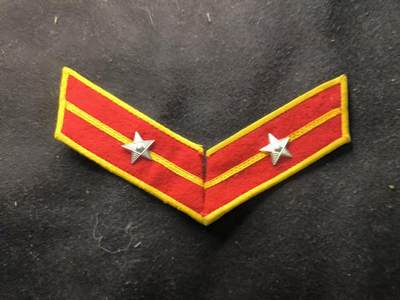 （450件拍品！制服徽章盛宴）罗岚⭐爱藏⭐年前甄选大拍场-店主清仓处理-分享拍场额外现金红包（实体经营） - su-M55式陆少尉领章