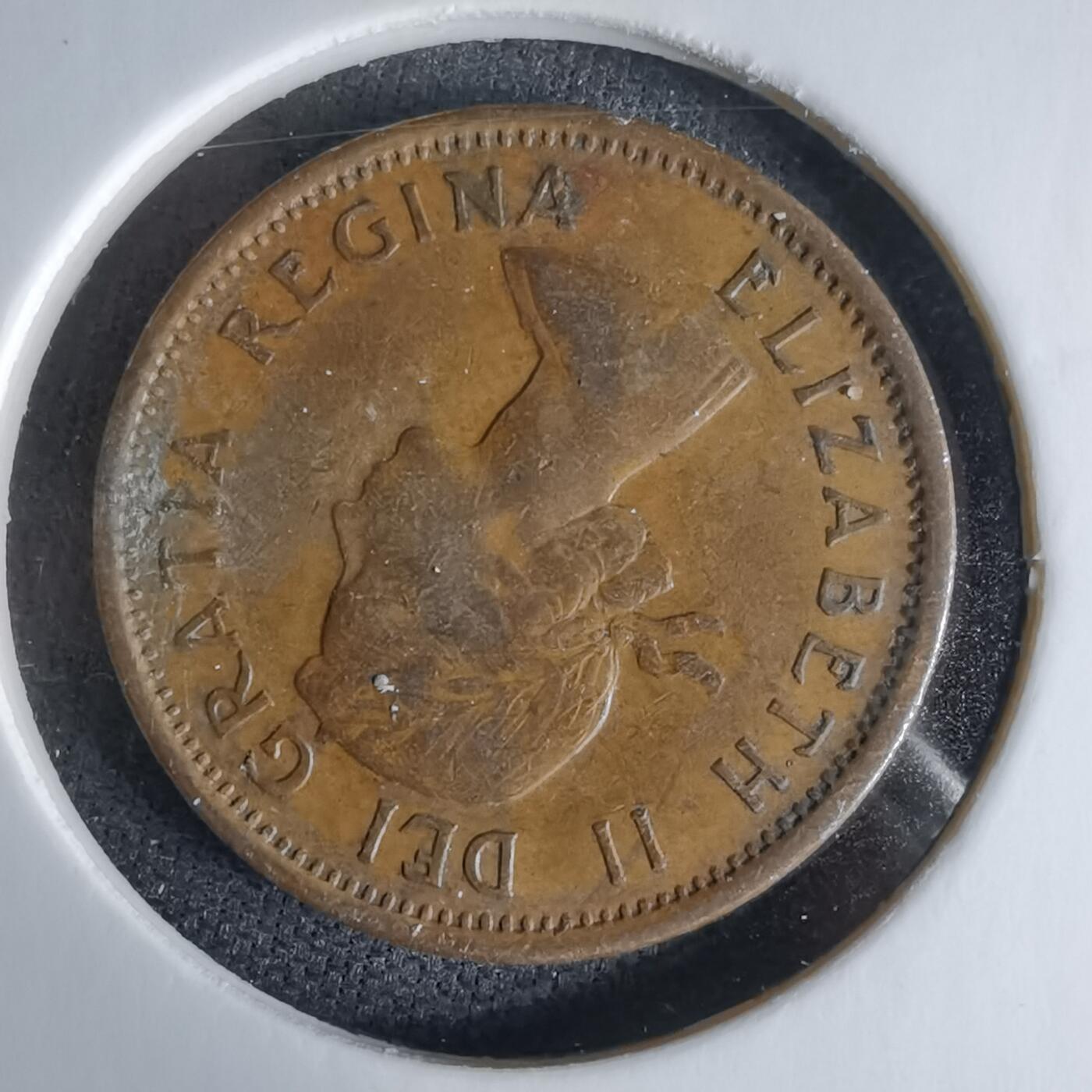 沼泽如烟--第992场