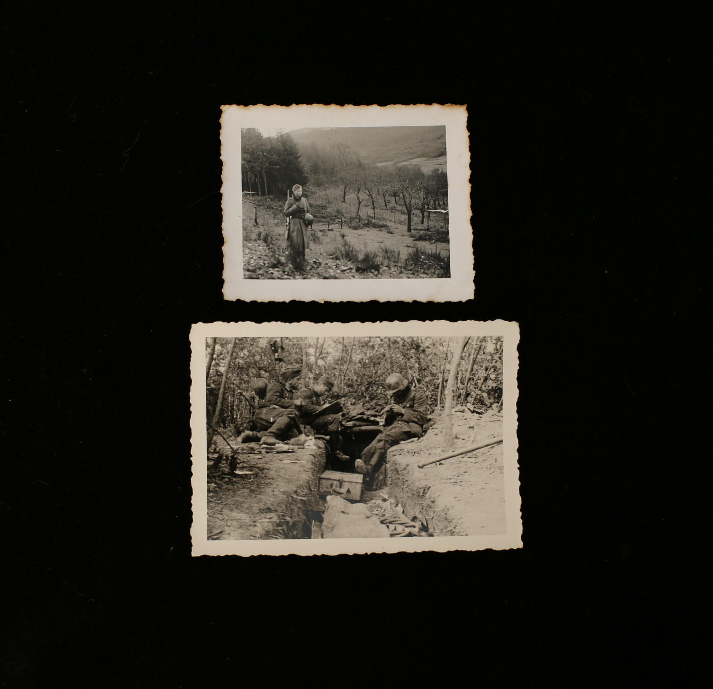 欢庆春节！戎马世界章牌大赏第112期春节大拍  德专场