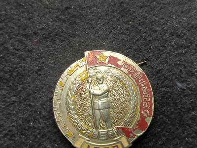 （450件拍品！制服徽章盛宴）罗岚⭐爱藏⭐年前甄选大拍场-店主清仓处理-分享拍场额外现金红包（实体经营） - 解放华中南纪念章