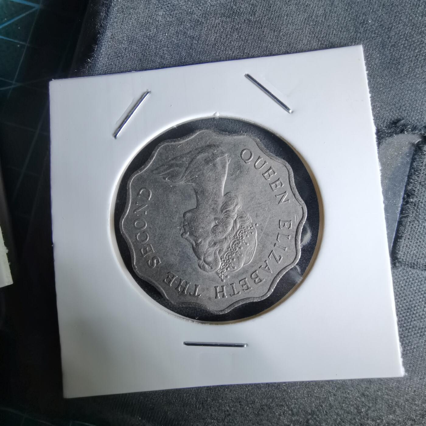 沼泽如烟--第992场