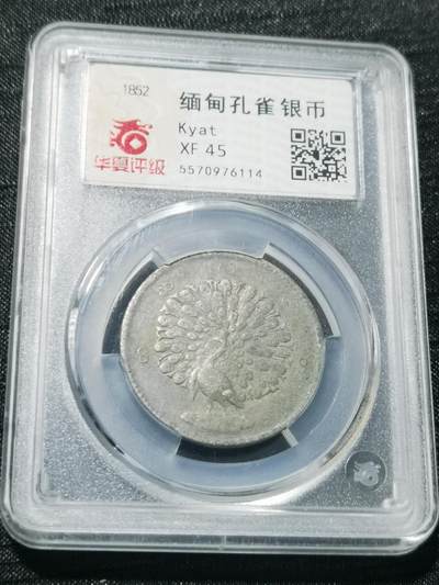 天下钱庄专场欢迎参拍 - 华夏评级XF45缅甸孔雀银币