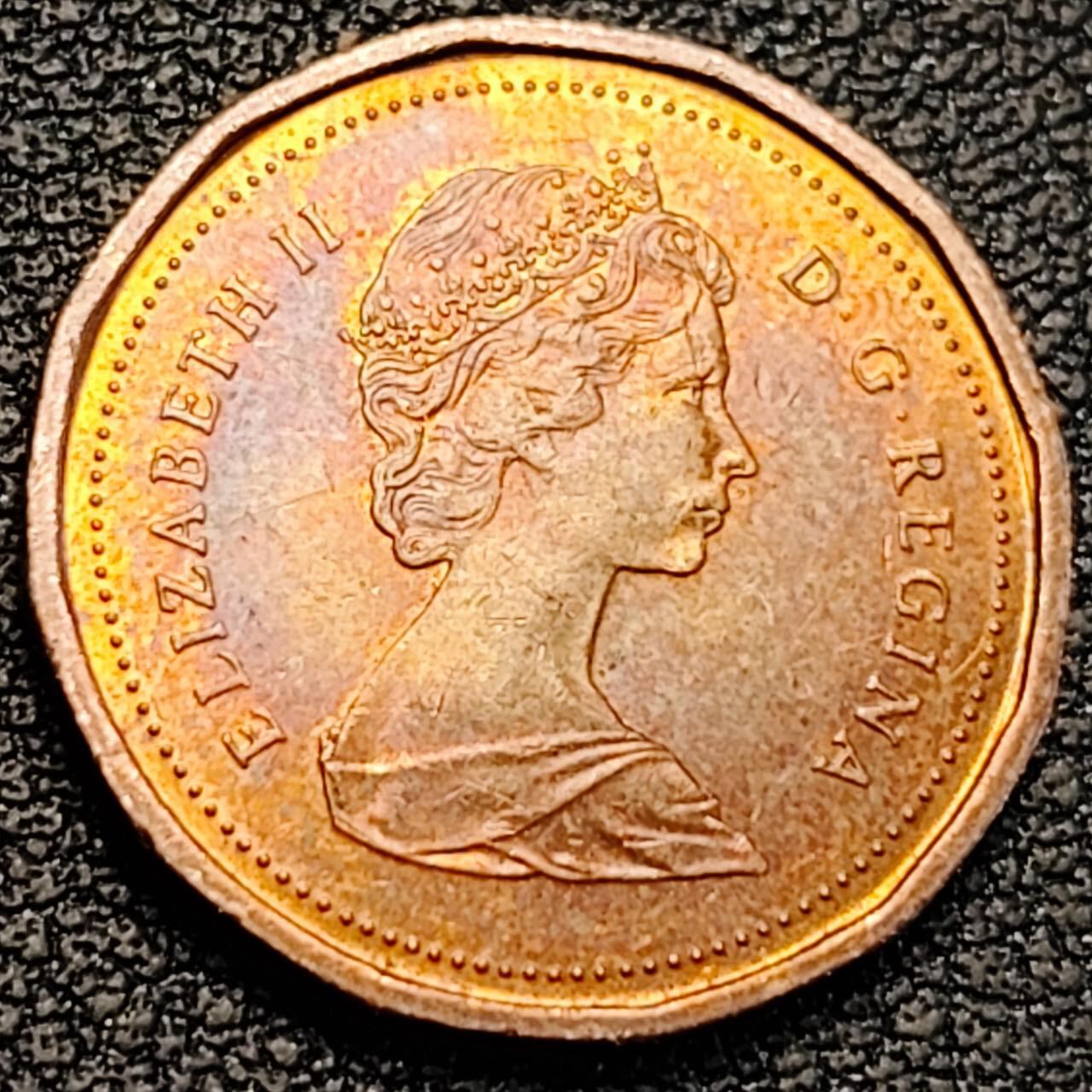 泉币菌-第187场- 精品福利场 （本周五和之前拍的 2月14日发货） 。