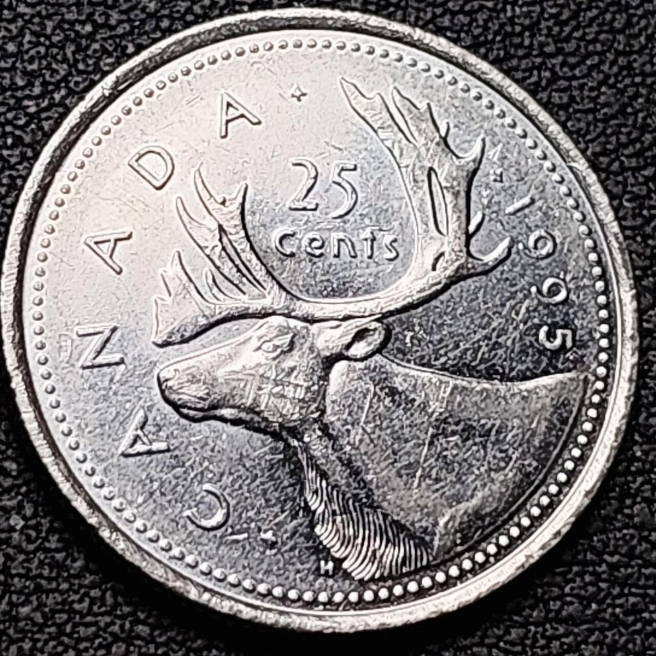 泉币菌-第190场- 精品福利场 .