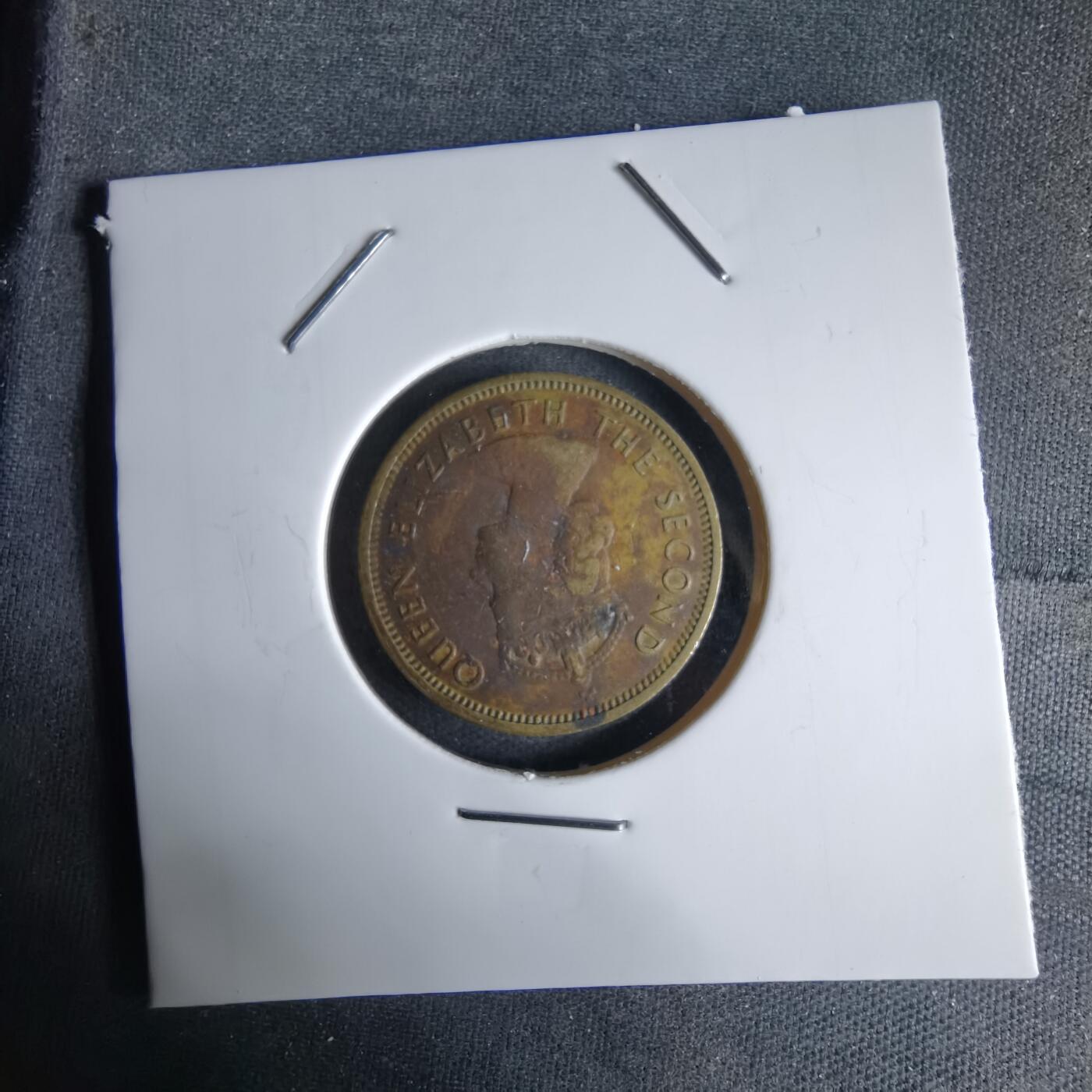 沼泽如烟--第992场