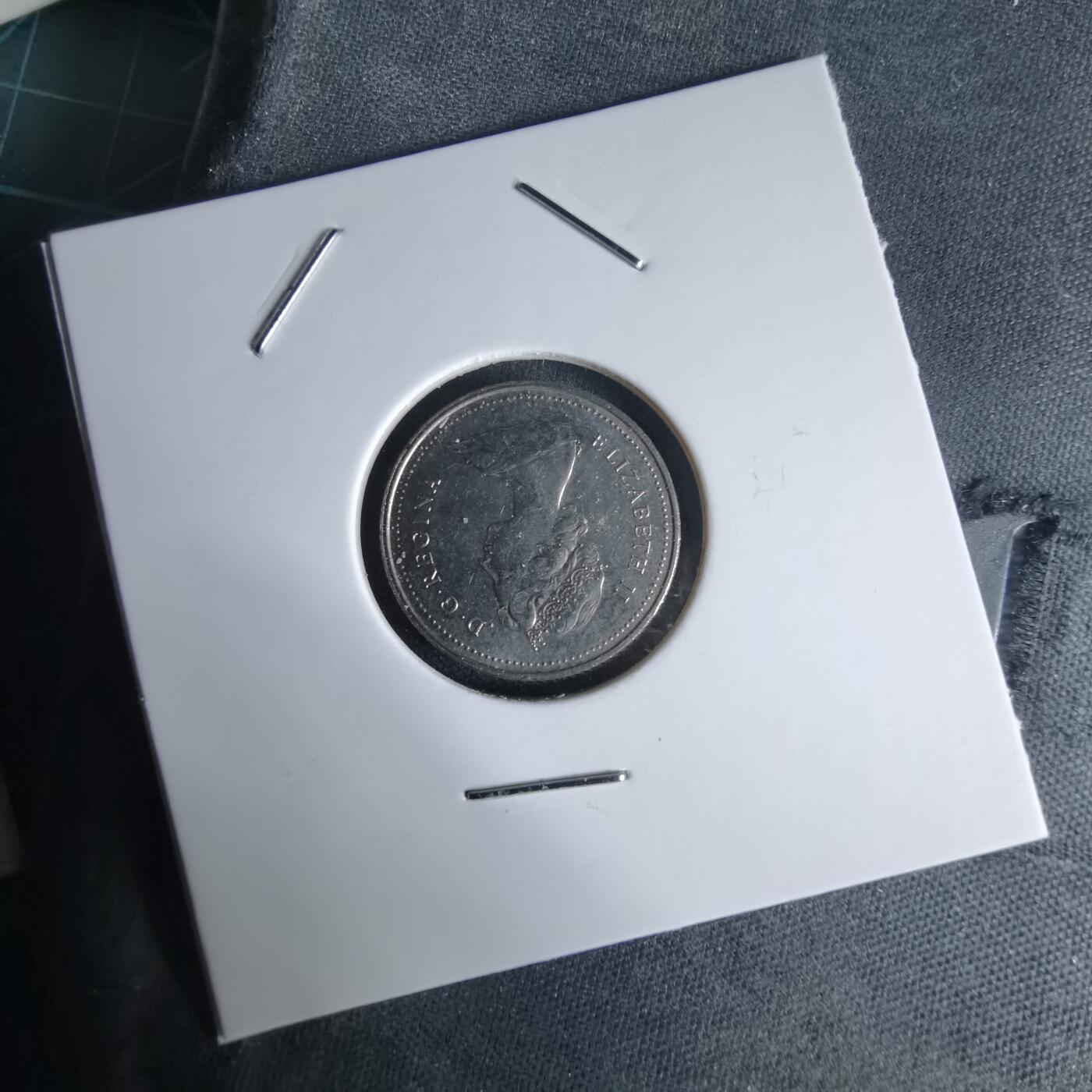 沼泽如烟--第992场