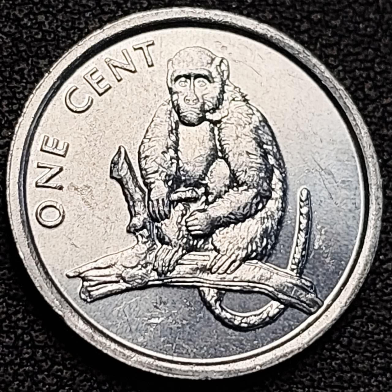 泉币菌-第191场- 迎春节专场 本场拍品多 请提前出价（本周五和之前拍的 2月14日发货） 。