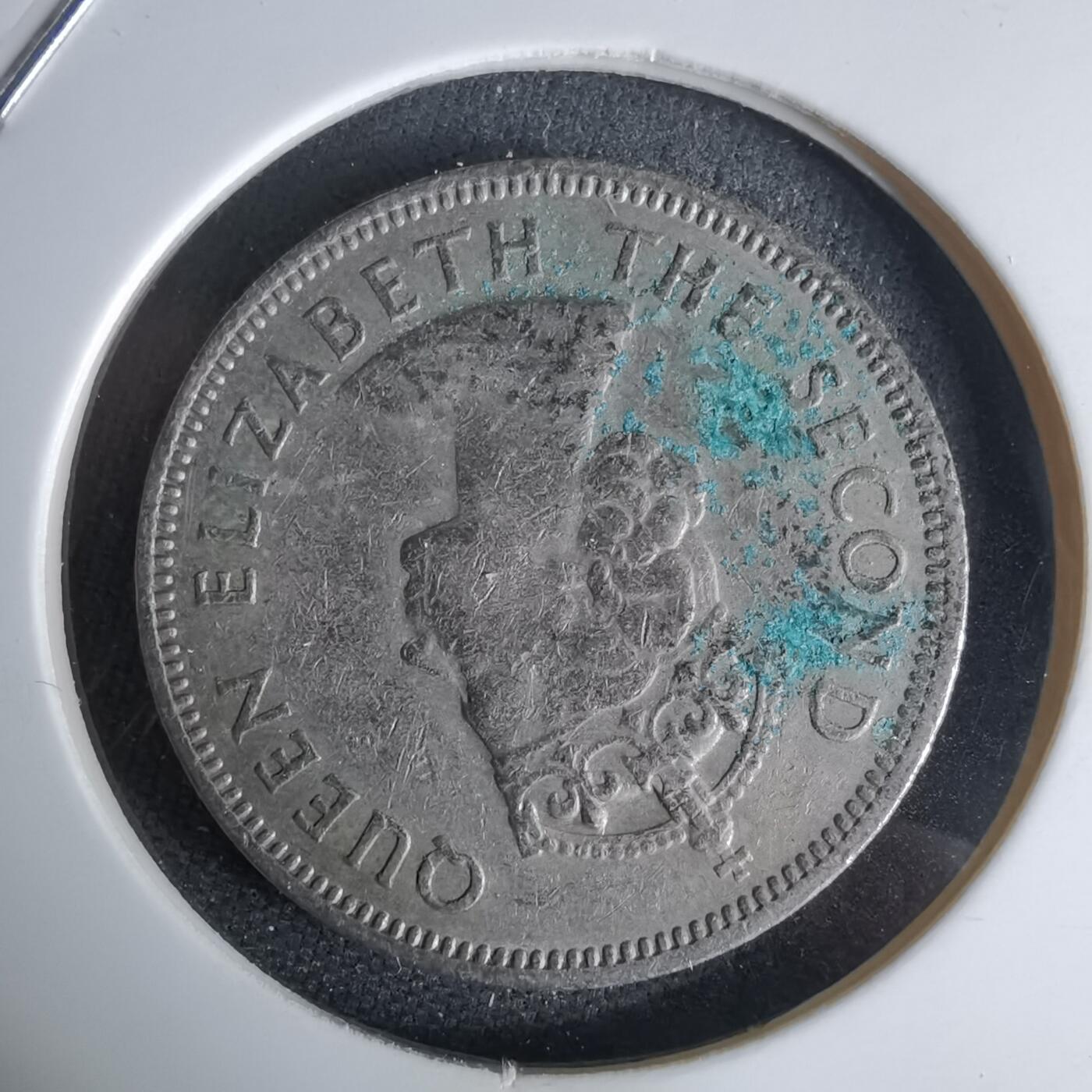 沼泽如烟--第992场