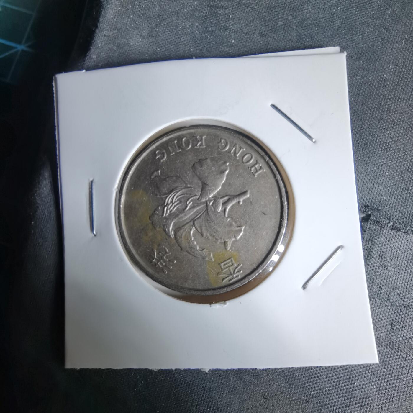 沼泽如烟--第992场