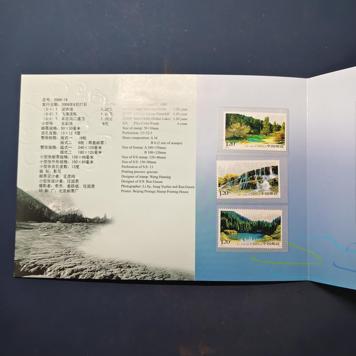 【全场包邮】纯粹捡漏拍503场 【邮票】中国邮票5套一批-含黄龙邮票型张珍藏册+清明节小版张+2009年世界邮展小版2组+文彦博灌水浮球小本票+保护环境带边铭四方联2组