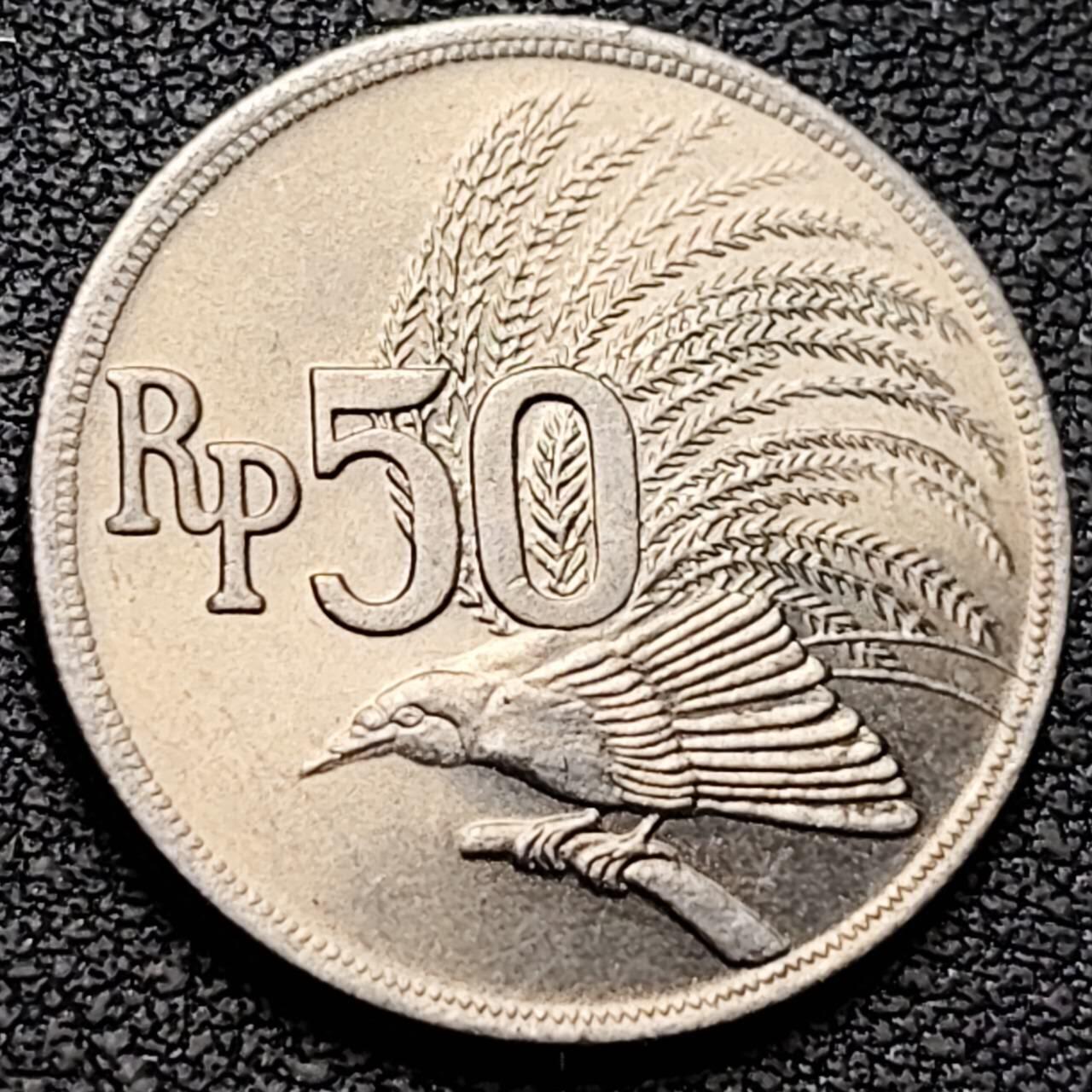 泉币菌-第190场- 精品福利场 。