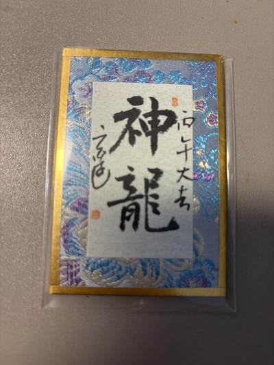 麦趣喜第二场(2月12号周四晚上20点截拍，专注买家市场，福利拉满)  - 玄远老师书法作品 神龙