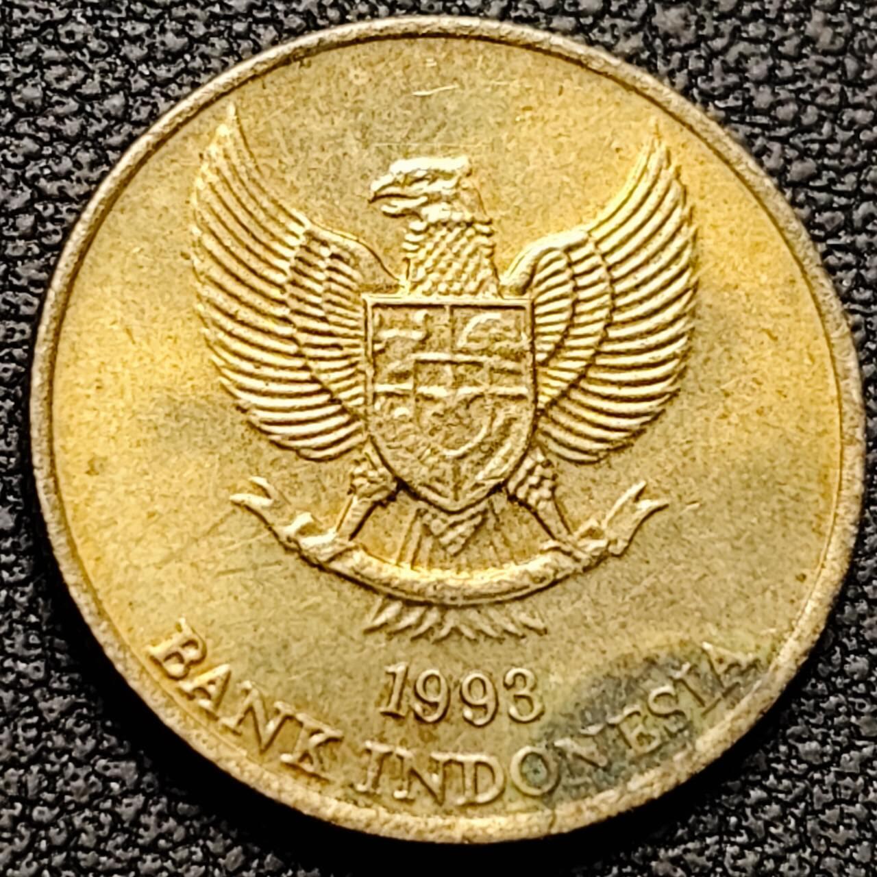 泉币菌-第190场- 精品福利场 。