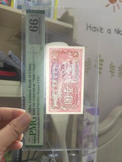 沧河堂105（无押金，违约拉黑） 中国农民银行 一元 PMG66EPQ