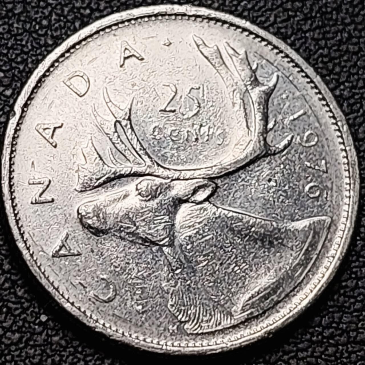 泉币菌-第190场- 精品福利场 .