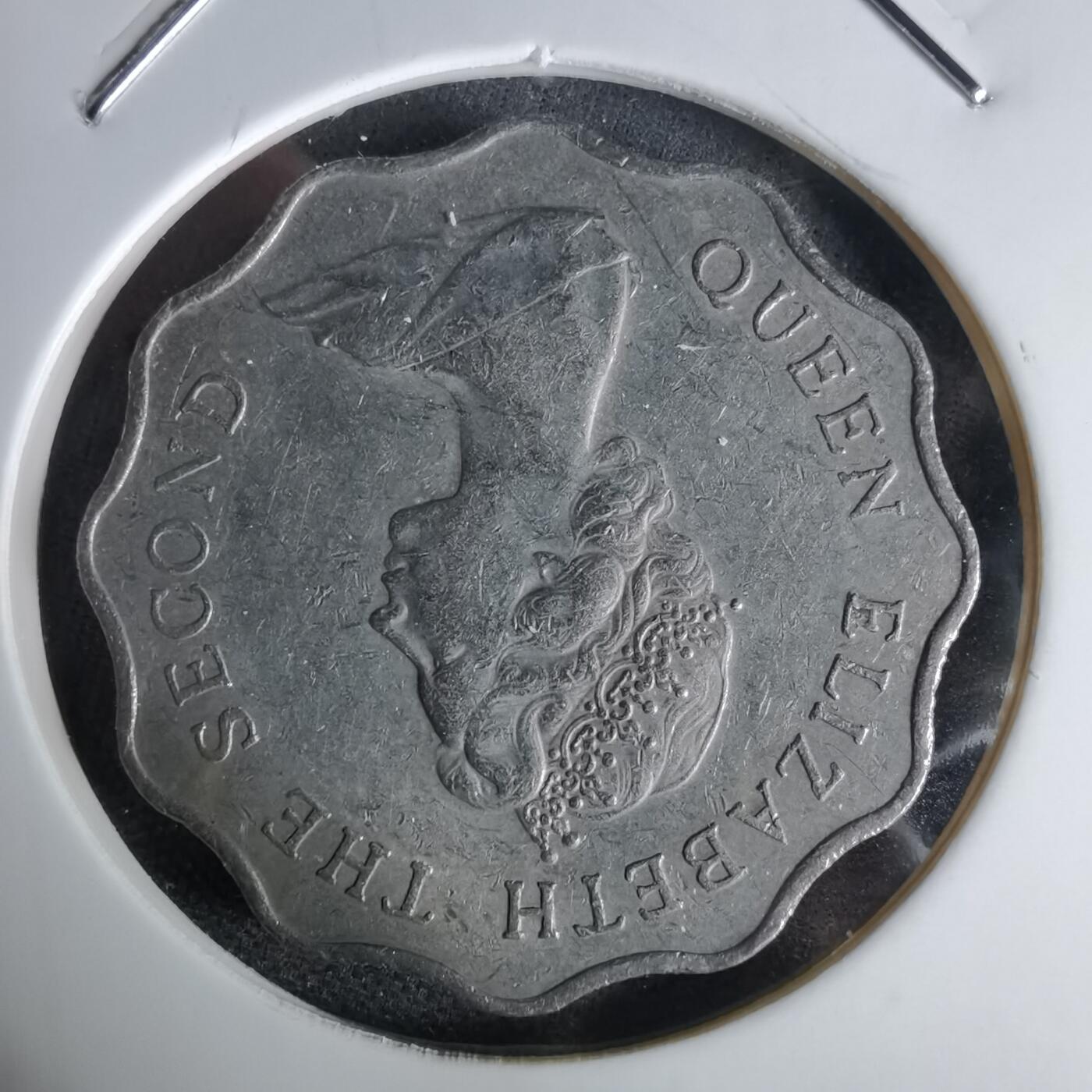 沼泽如烟--第992场