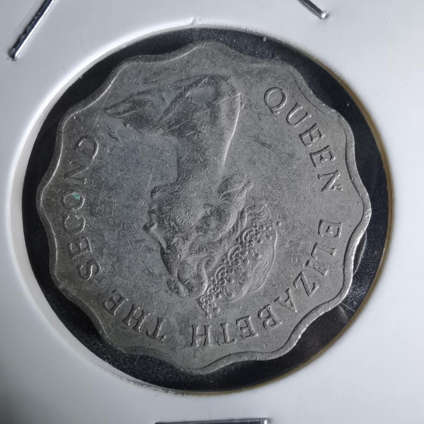 沼泽如烟--第992场