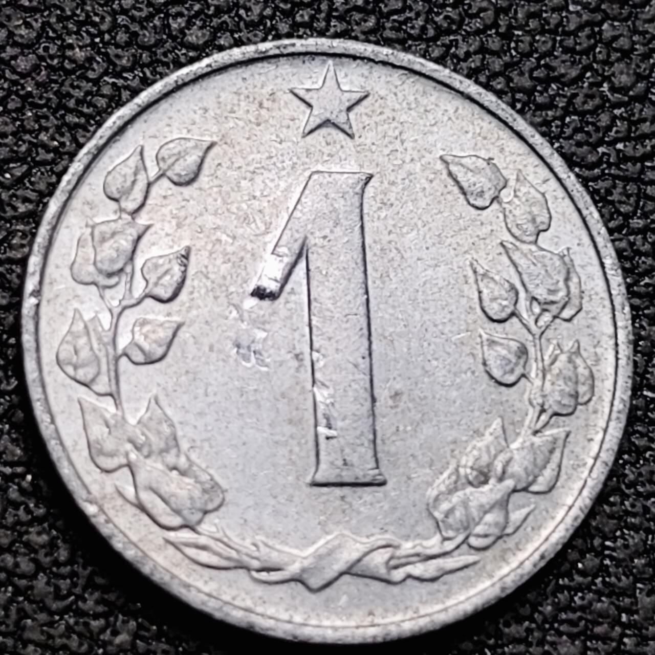 泉币菌-第190场- 精品福利场 。