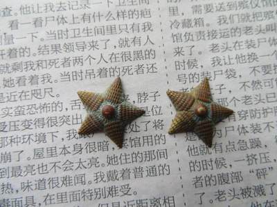 55技术尉官肩章18mm镀金黄星星2个一组 - 55技术尉官肩章18mm镀金黄星星2个一组