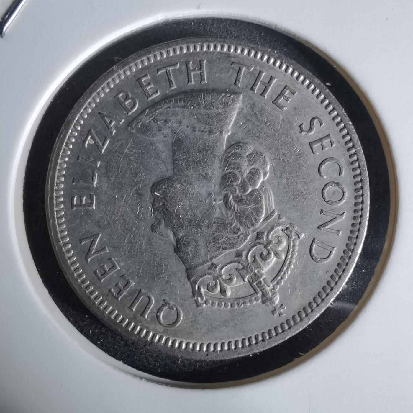 沼泽如烟--第992场