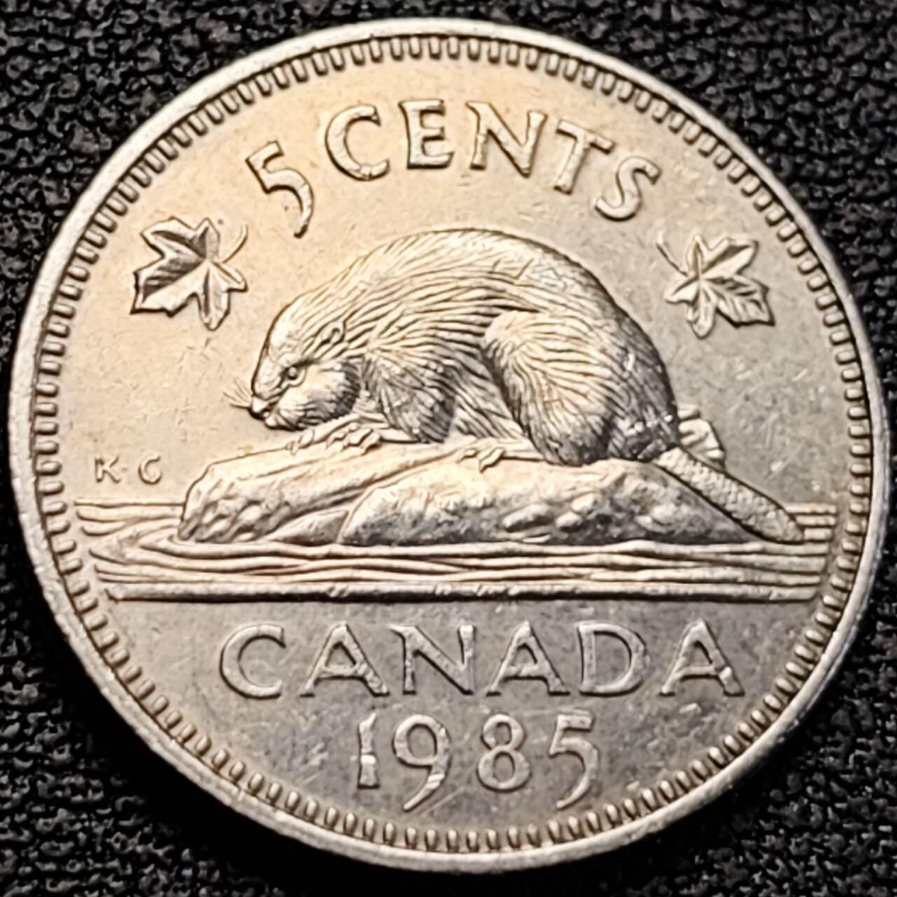 泉币菌-第187场- 精品福利场 （本周五和之前拍的 2月14日发货） 。