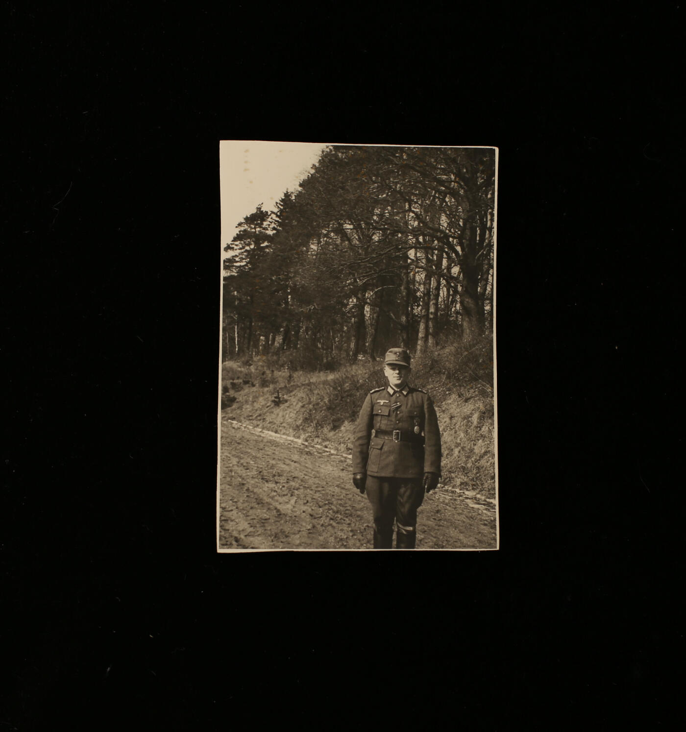 欢庆春节！戎马世界章牌大赏第112期春节大拍  德专场