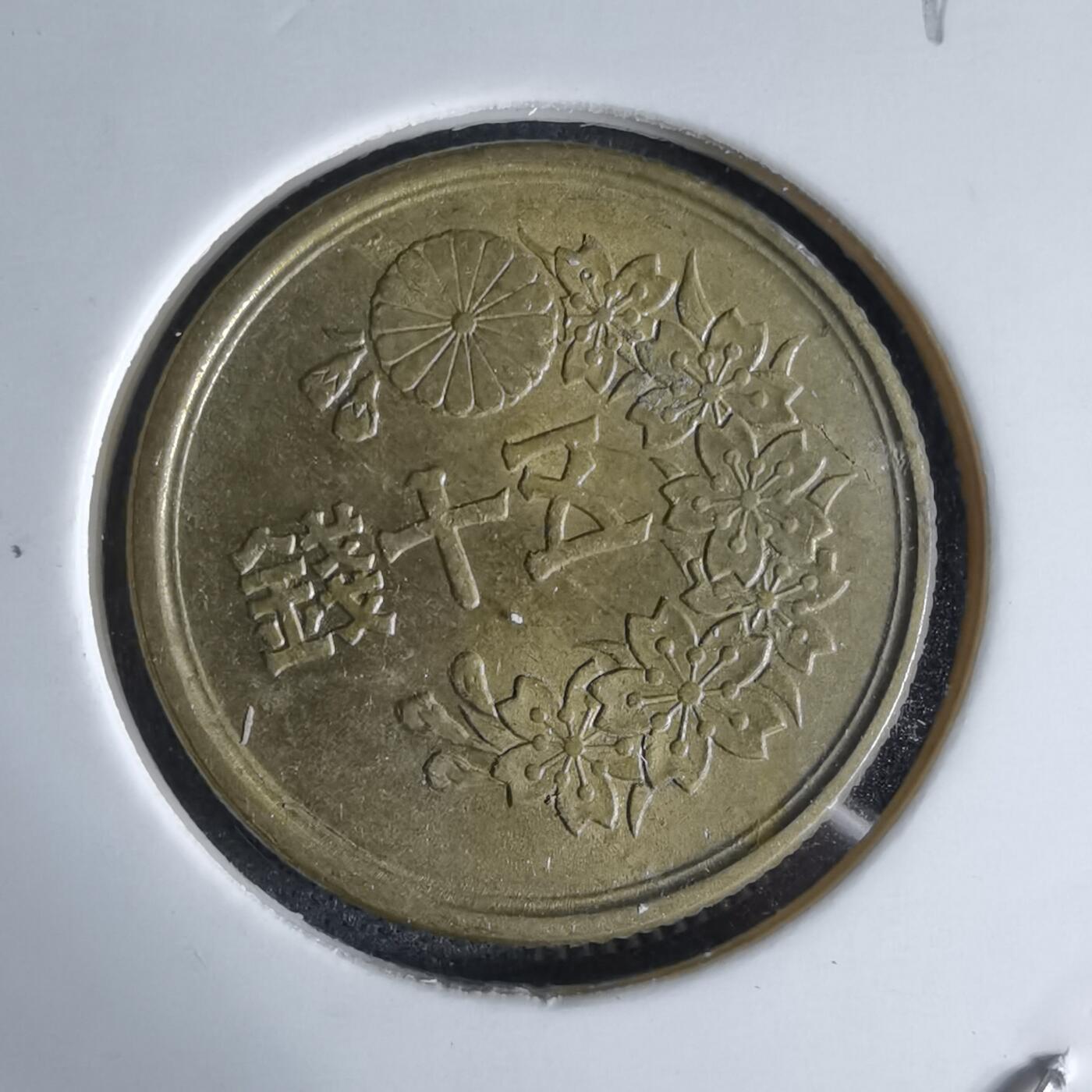 沼泽如烟--第992场