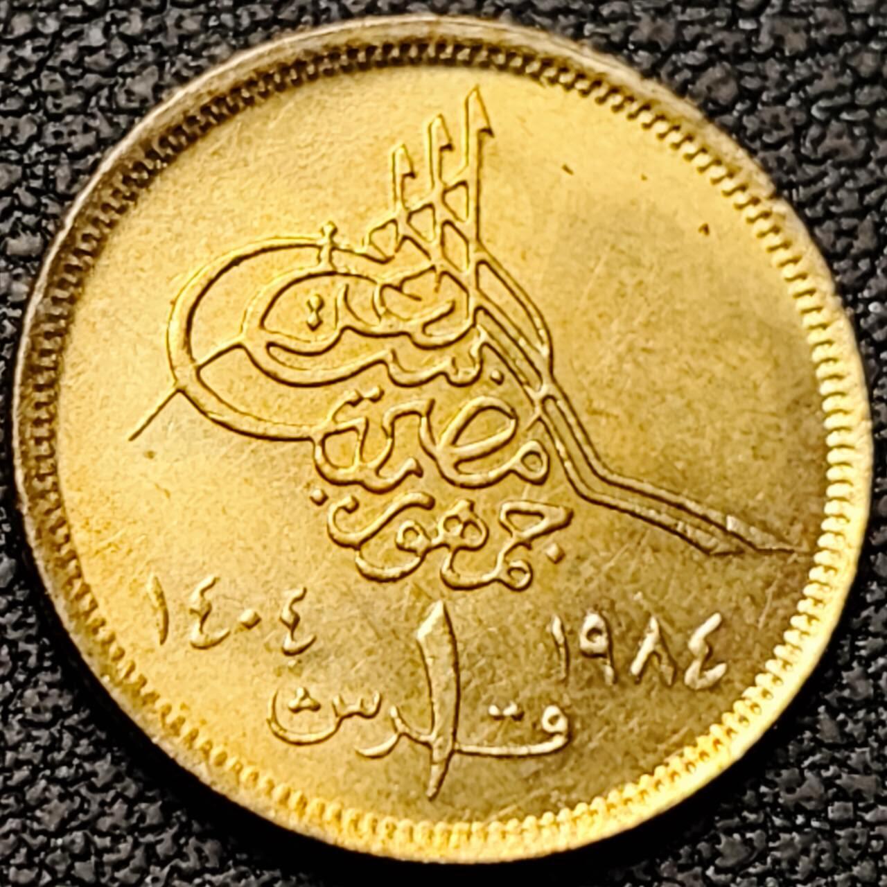 泉币菌-第190场- 精品福利场 。