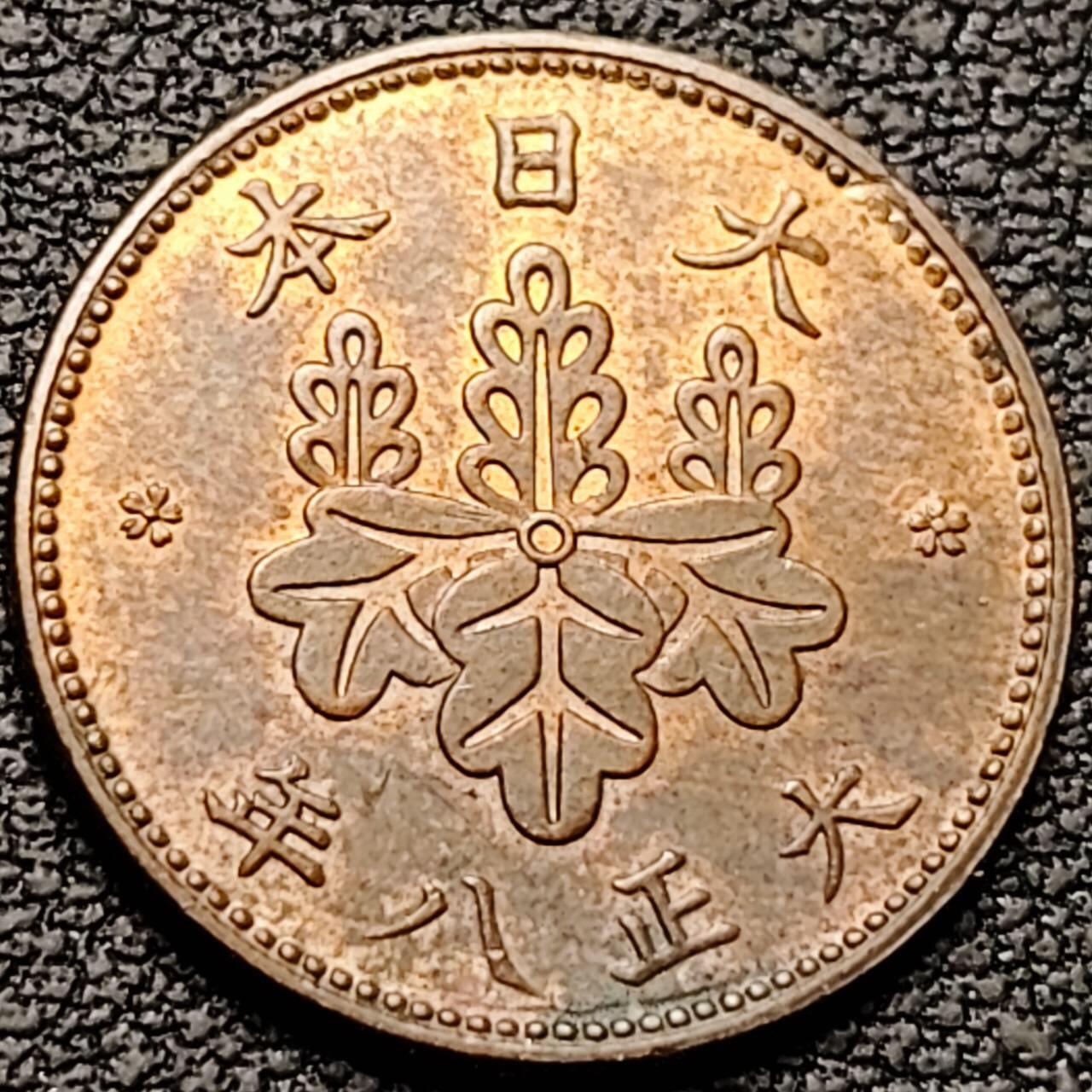 泉币菌-第190场- 精品福利场 。