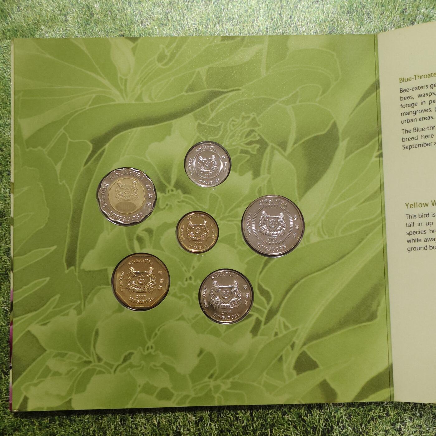 【全场包邮】纯粹捡漏拍503场