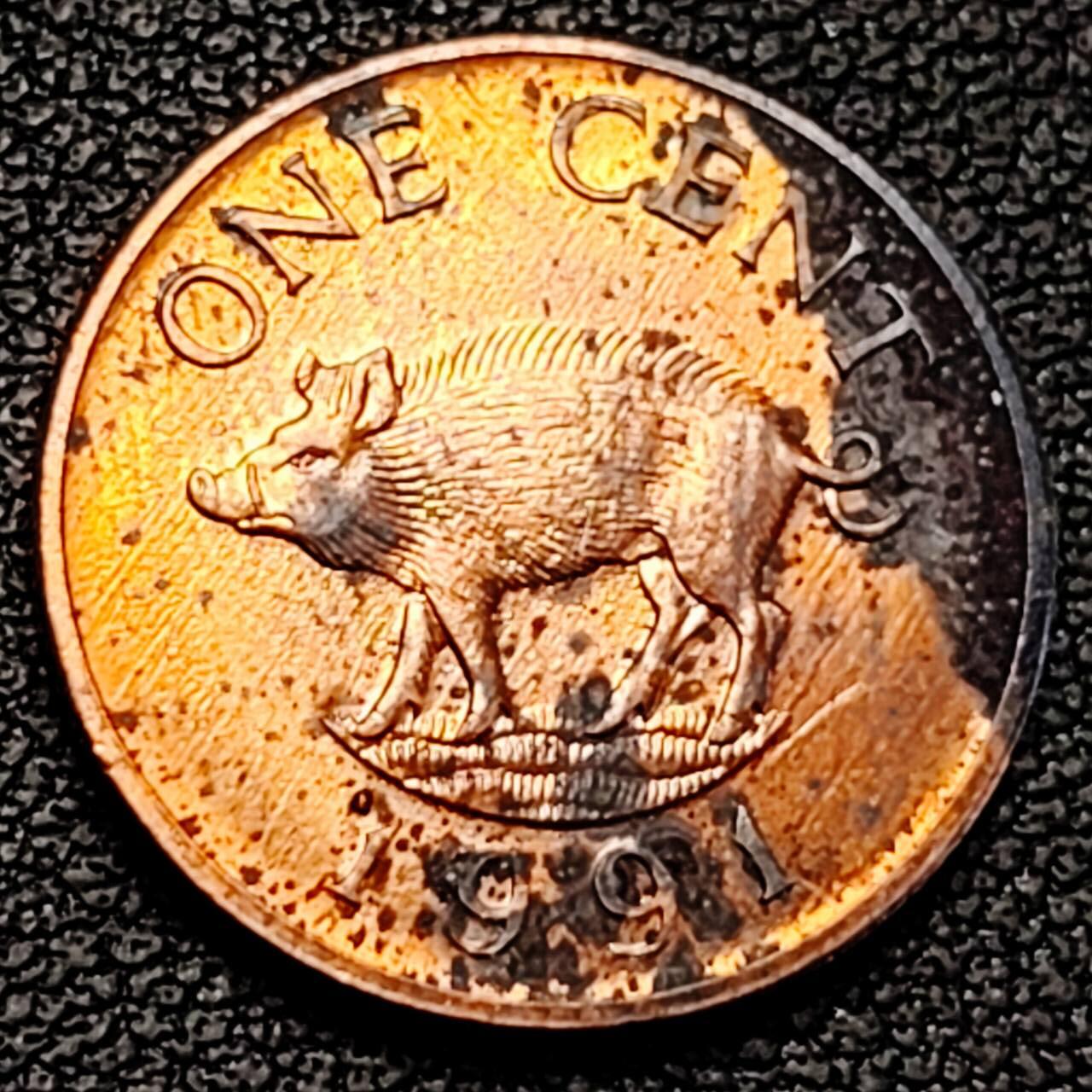 泉币菌-第191场- 迎春节专场 本场拍品多 请提前出价（本周五和之前拍的 2月14日发货） 。