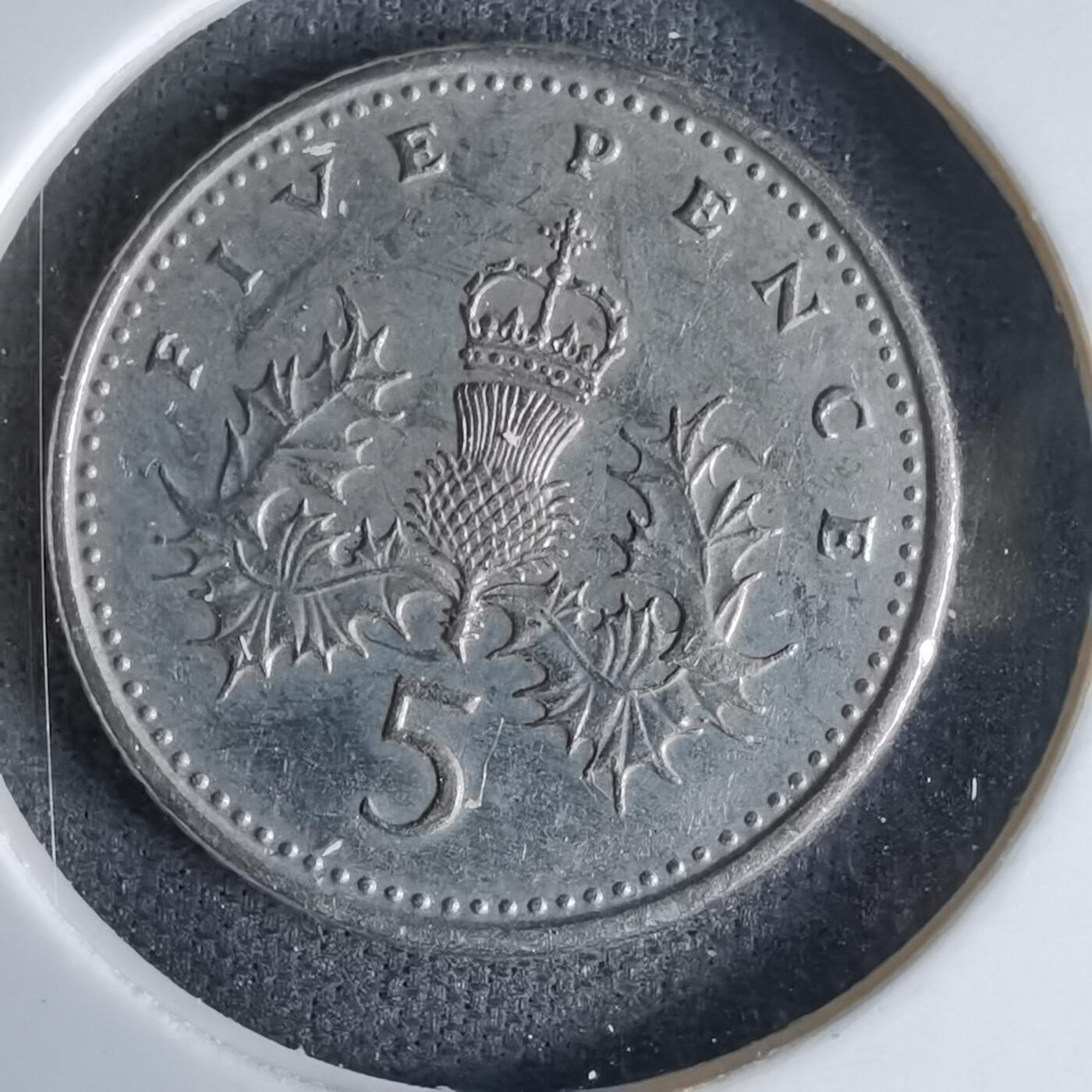 沼泽如烟--第992场