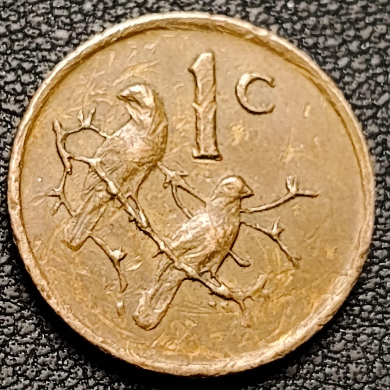 泉币菌-第190场- 精品福利场 。