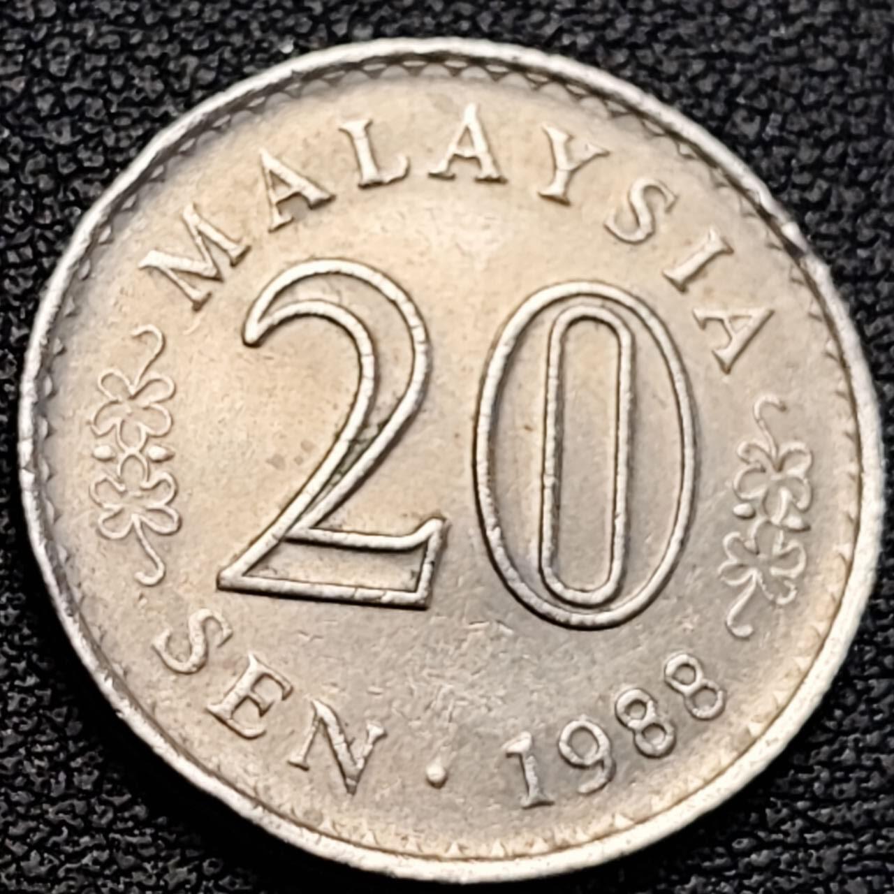 泉币菌-第187场- 精品福利场 （本周五和之前拍的 2月14日发货） 。